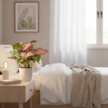 Load image into Gallery viewer, Syngonium Red Heart (Arrowhead Plant) - Shipping Included