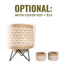 Load image into Gallery viewer, Syngonium Red Heart (Arrowhead Plant) - Shipping Included