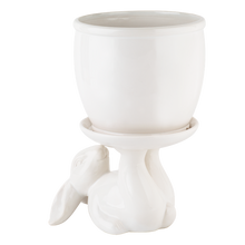 Load image into Gallery viewer, Bunny Indoor Cover Pot