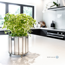 Load image into Gallery viewer, The Bling Cover Pot 14cm – Limited Edition Decorative Plant Pot NZ (Includes Shipping)
