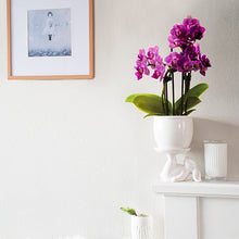 Load image into Gallery viewer, Bunny Indoor Cover Pot