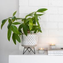 Load image into Gallery viewer, Buti Cover Pot with Tea-Light Holders – Rustic Boho Cement Planter Gift Set NZ (Includes Shipping)