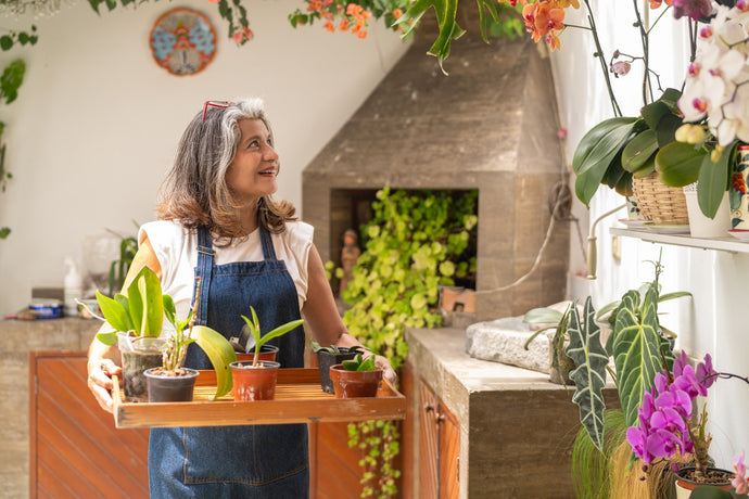 From Basic to Botanical Bliss: How to Style Your Home with Indoor Plants Like a Pro