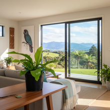 Load image into Gallery viewer, Bird’s Nest Fern | Easy-Care Indoor Plant | Plant Baby
