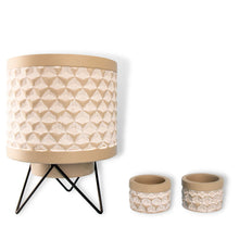 Load image into Gallery viewer, Neon Pothos (Epipremnum aureum 'Neon') – Indoor Plant | Free Shipping NZ
