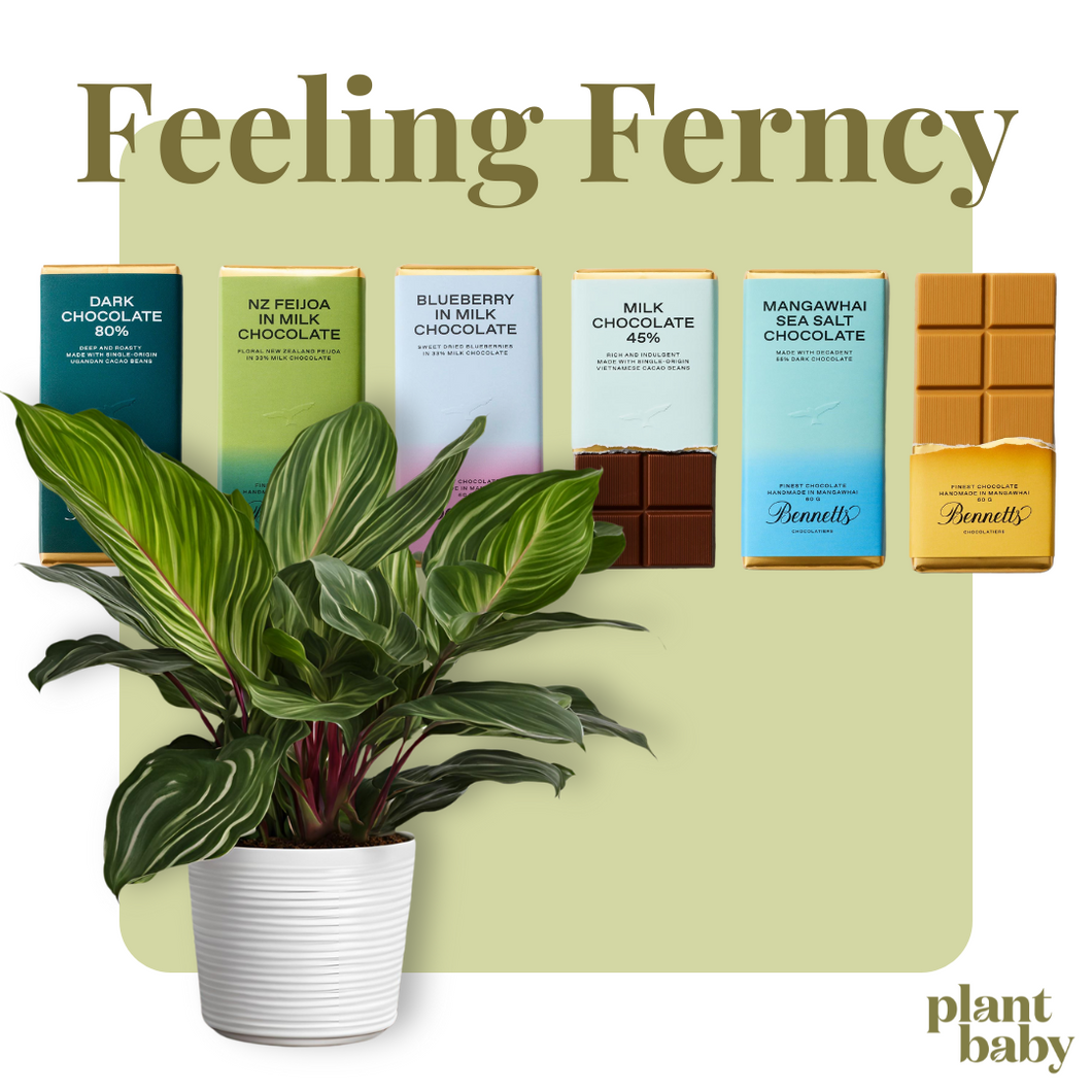 Pre-Purchased Subscription of Feeling Ferncy!