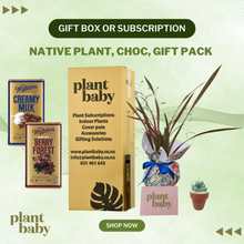 Load image into Gallery viewer, Native Plant, Choc, Gift Pack
