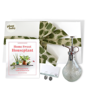 The "Crazy Plant Lady" Indoor Plant Inspired Gift Set (Includes shipping)